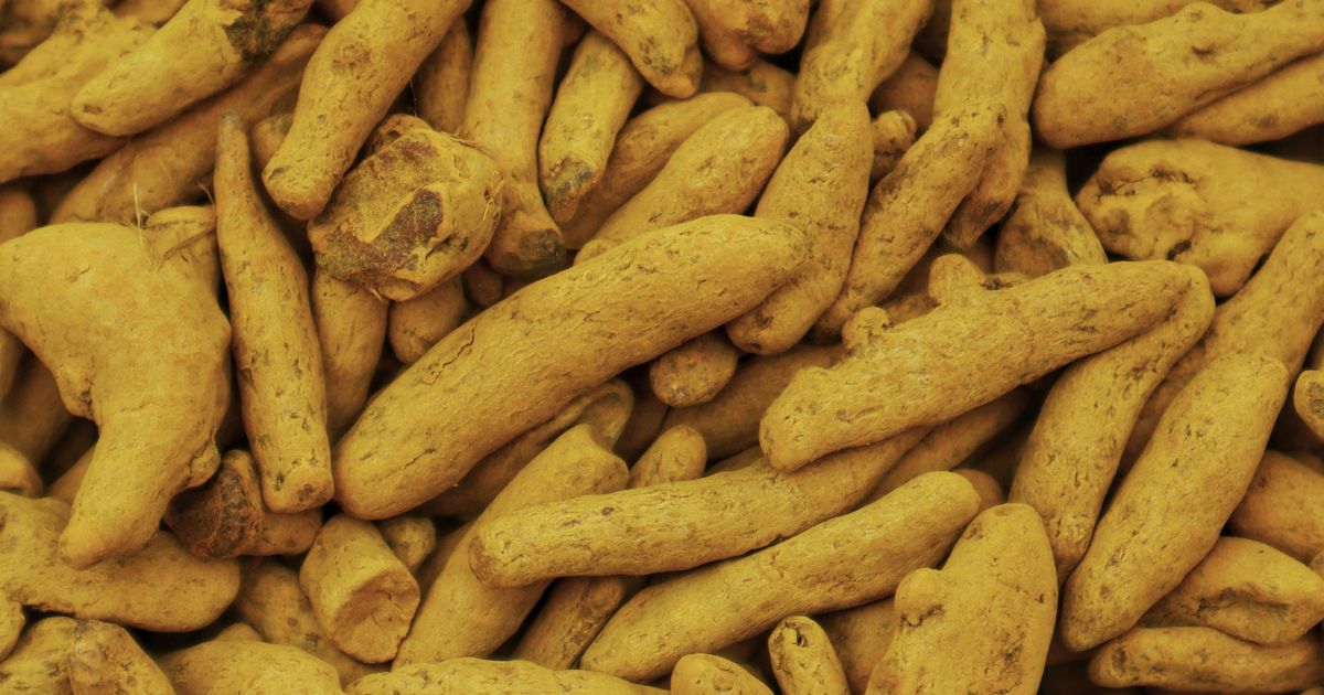 Samahan – ájurvédikus gyógynövényes instant ital Srí Lankáról, porral teli tasak és egy csésze forró ital