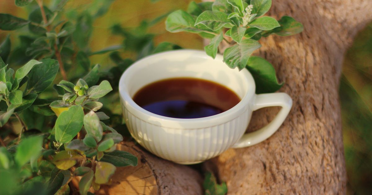 Tulsi (sveti bosiljak) — osušeni listovi i šalica biljnog čaja na drvenom stolu